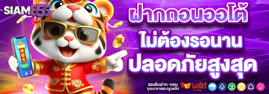 SIAM855