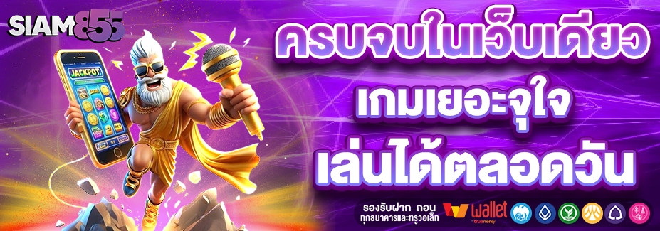 SIAM855