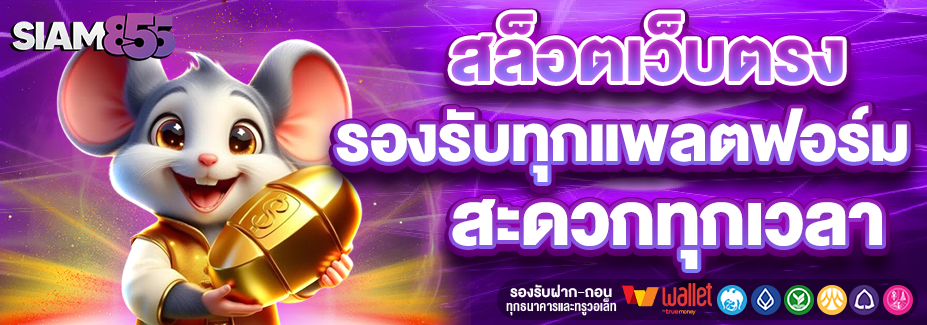 SIAM855